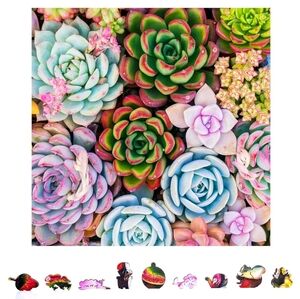 Jigsaw Wooden Puzzle ZenChalet Succulent Sensation 500 Piece 16.5" x 16.5"